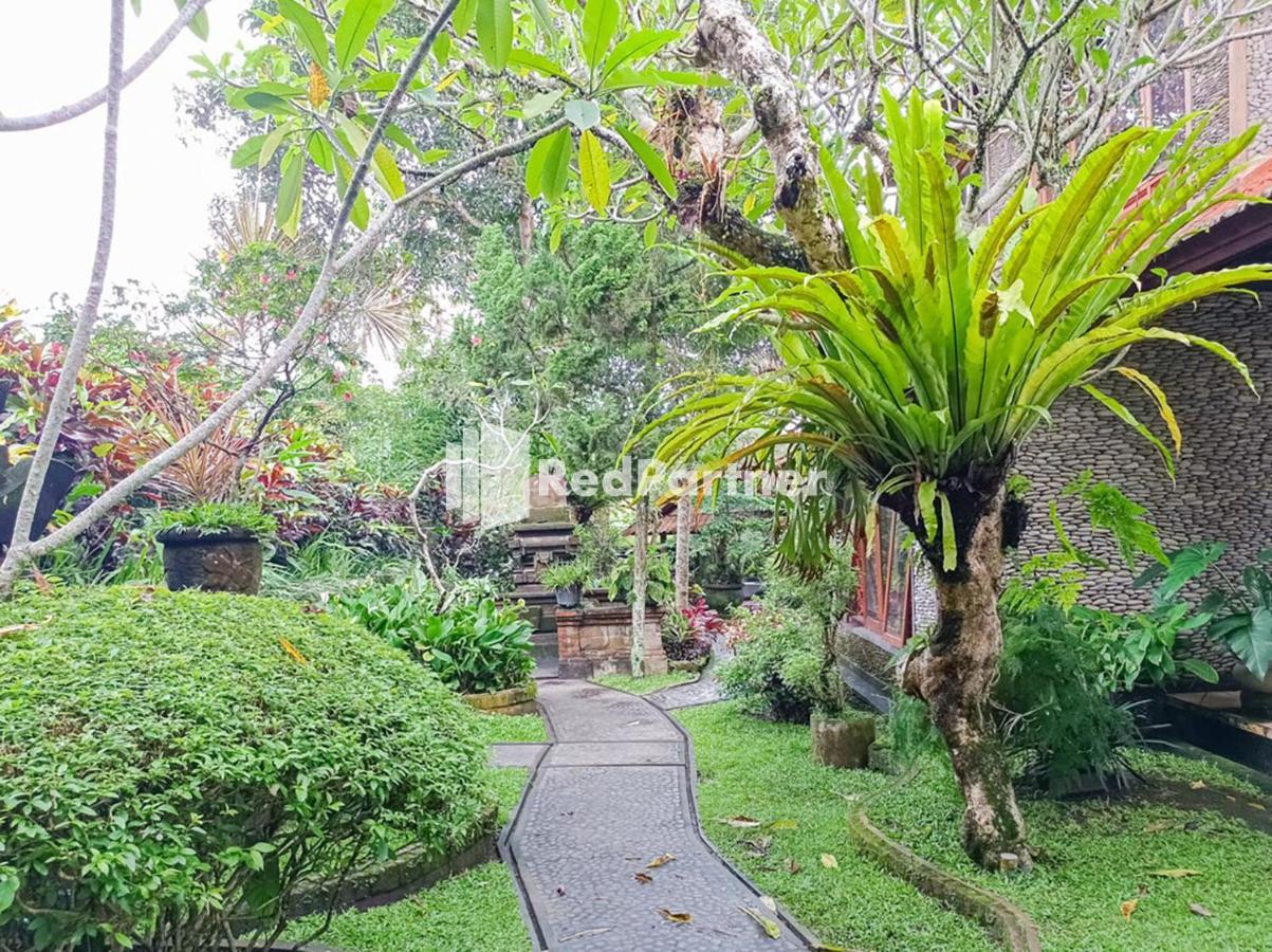 Appartement Nando House à Ubud Extérieur photo